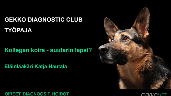 Gekko Diagnostic Club workshop "Kollegan koira - suutarin lapsi"